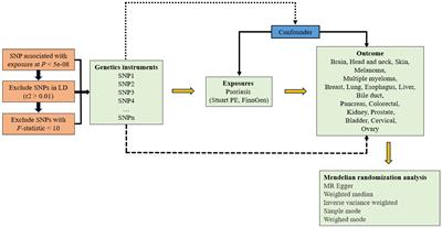 The causal relationship between psoriasis and cancers: a two-sample Mendelian randomization analysis